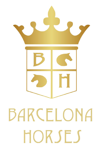 Welcome to Barcelona Horses School